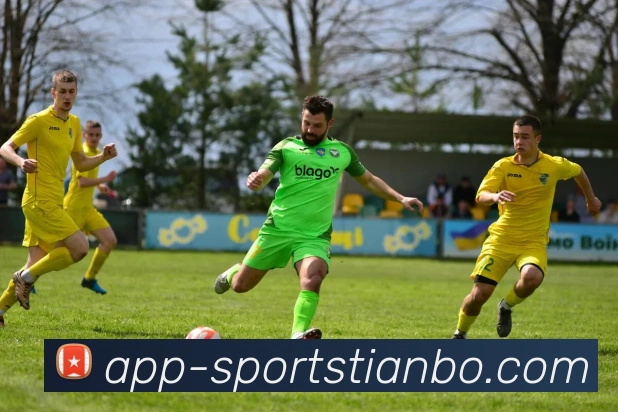 App Interface Preview